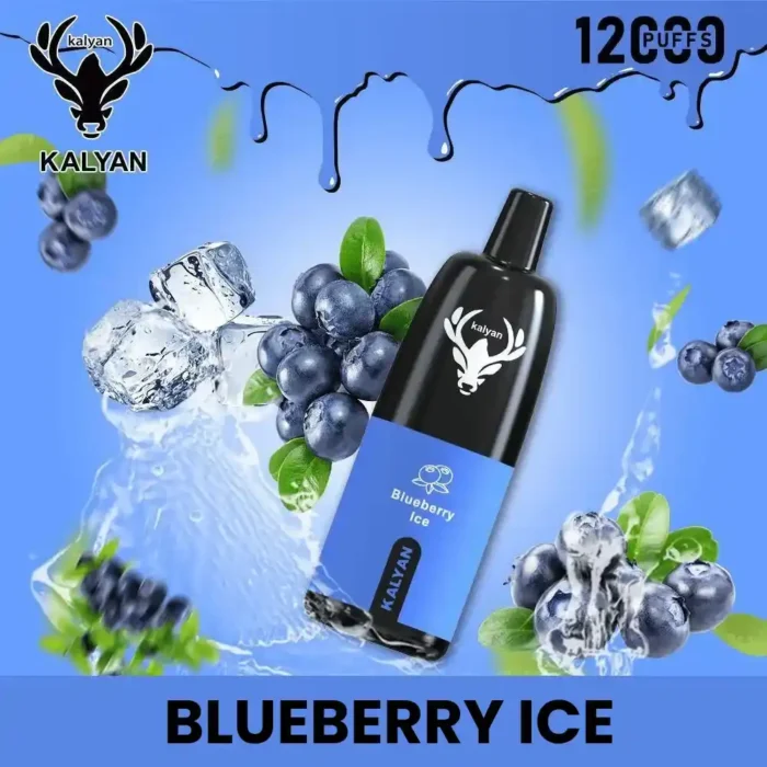 Kalyan Pro 12000 Puffs Blueberry Ice
