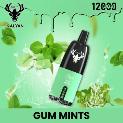 Kalyan Pro 12000 Puffs Gum Mints